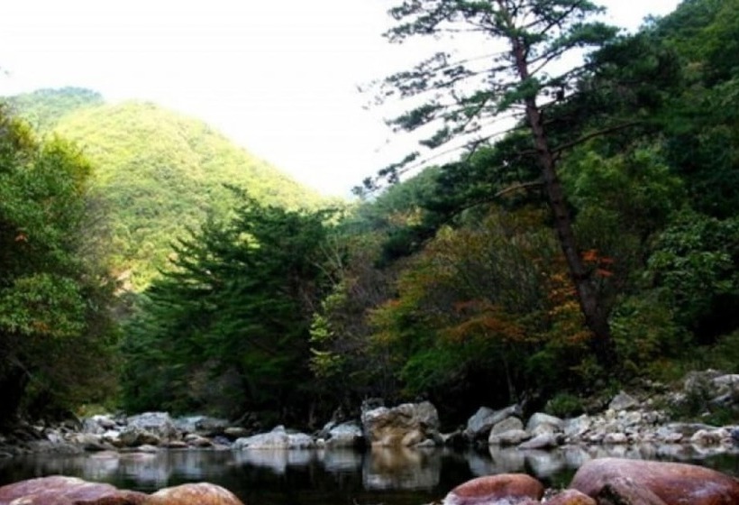 Danyang Fragrant Tree Pension