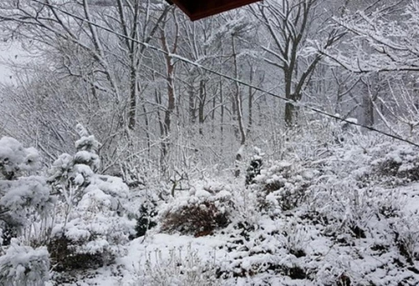 Danyang Fragrant Tree Pension