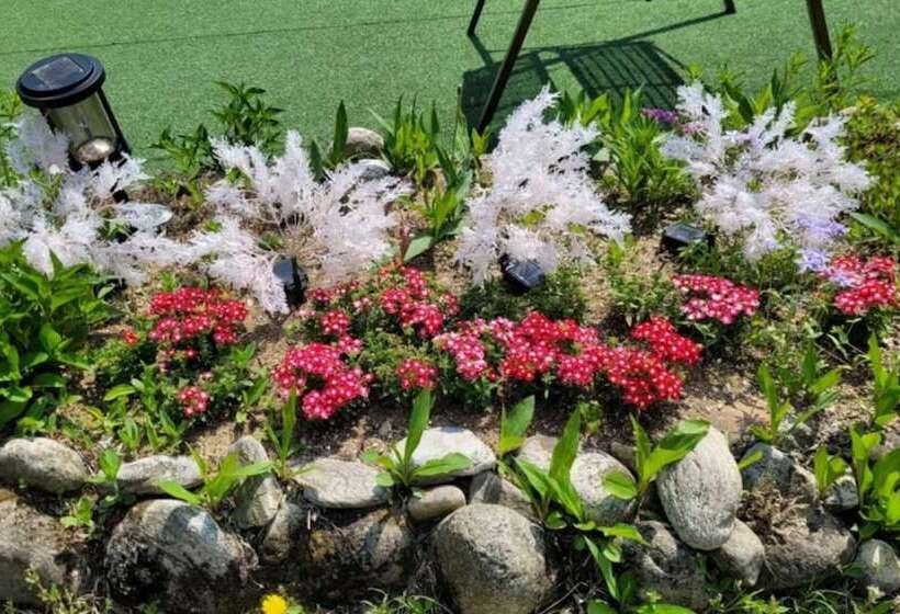 Gapyeong Chorok Jeongwon Gyegok Dokchae Pension