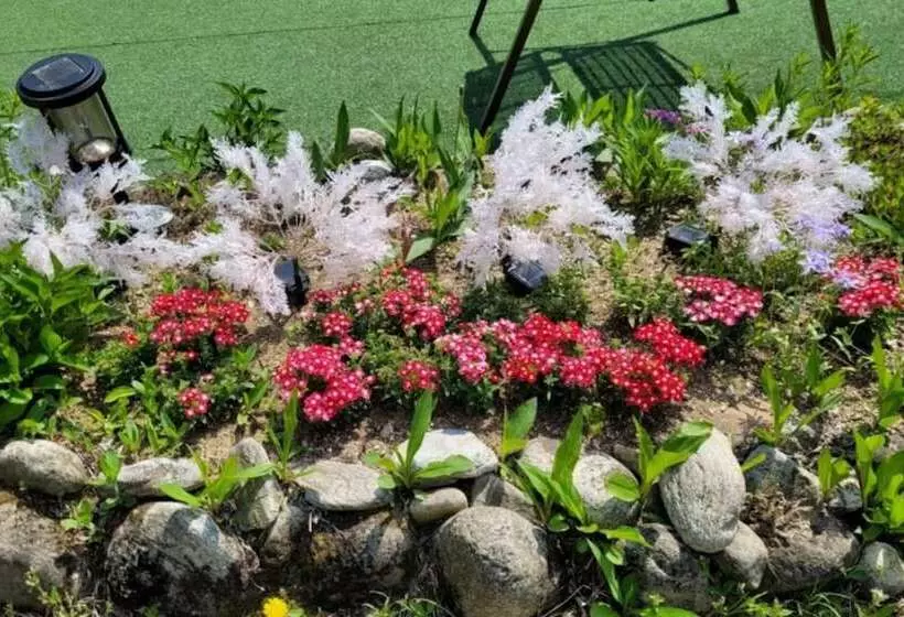 Gapyeong Chorok Jeongwon Gyegok Dokchae Pension