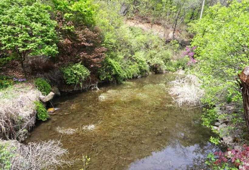 Gwangju Jongyeoul Pension