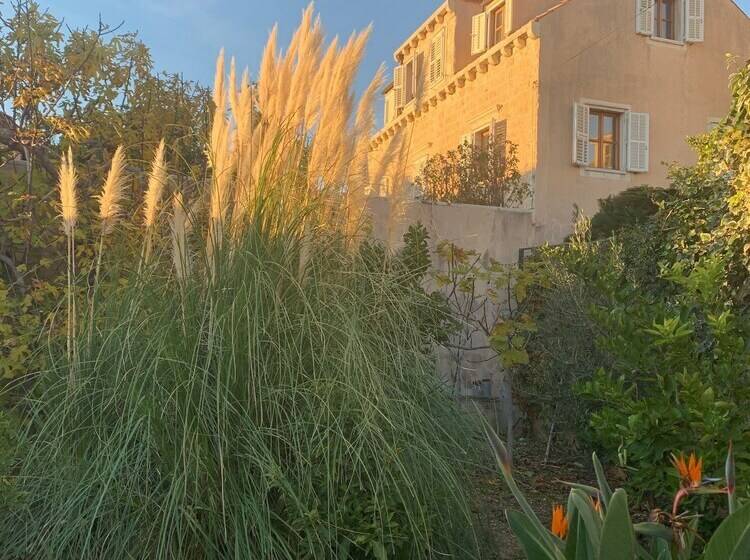 Hedera Estate, House Hedera Vi