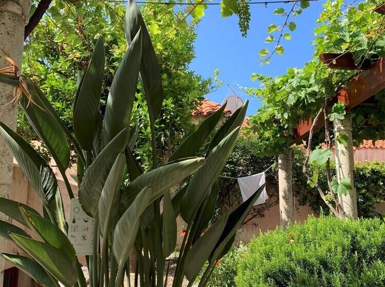 Hedera Estate, House Hedera Vi