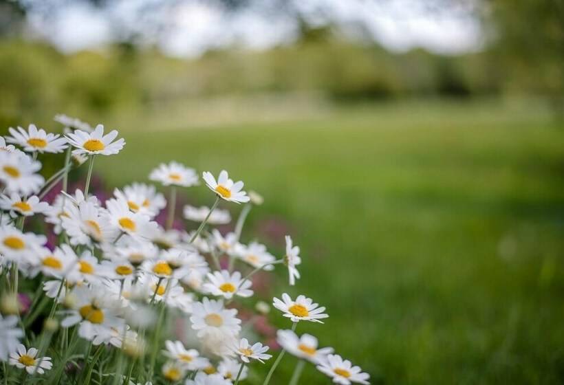 Oak Lodge With Hot Tub, Kingfishers