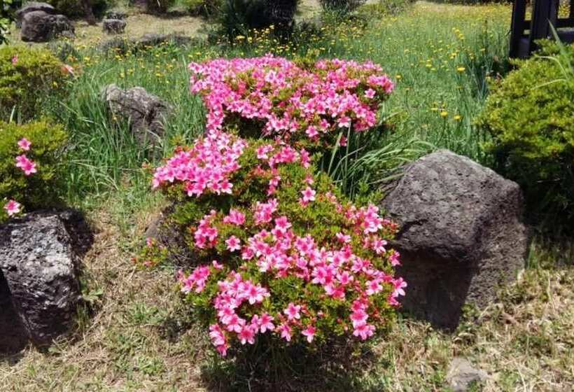 Seoguipo Seongsan Island Pension