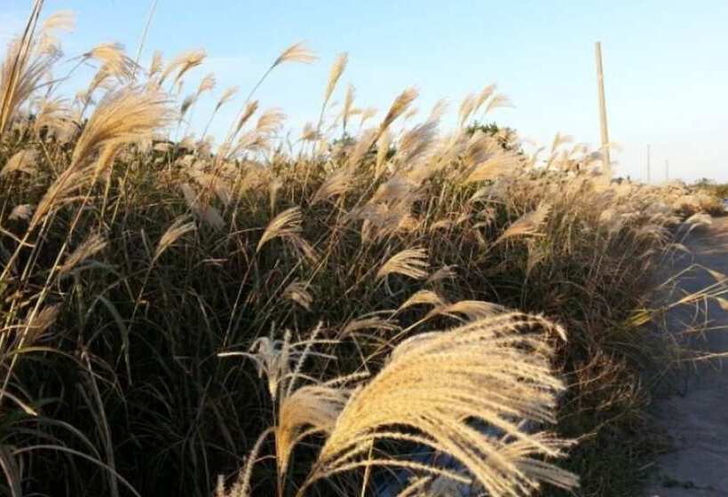 Seoguipo Seongsan Island Pension