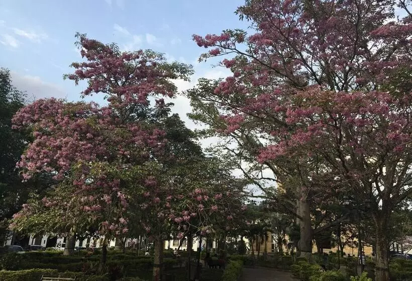ホテル Buganvilia