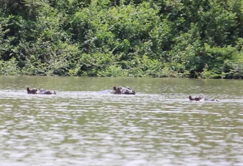 Hotell Camping Sitaba Lodge