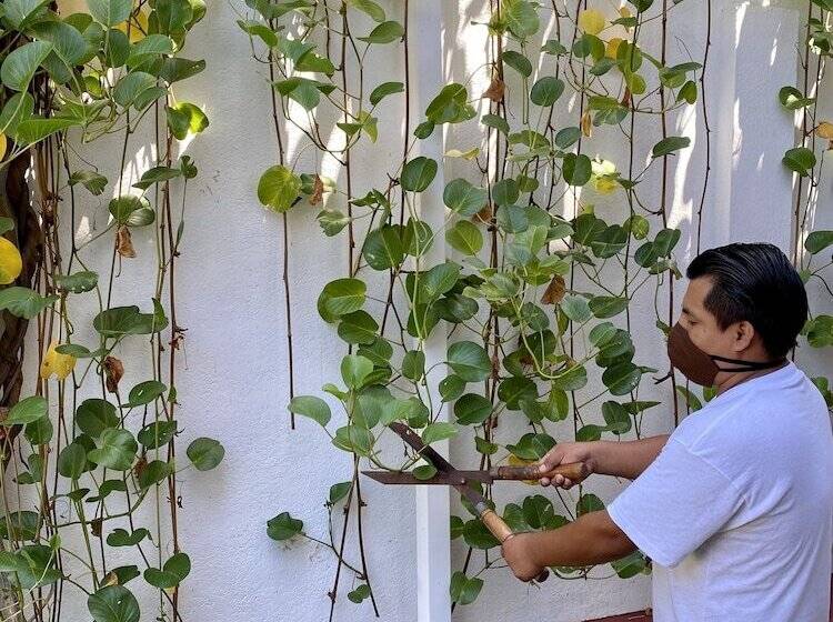 Hotel Galapagos Suites