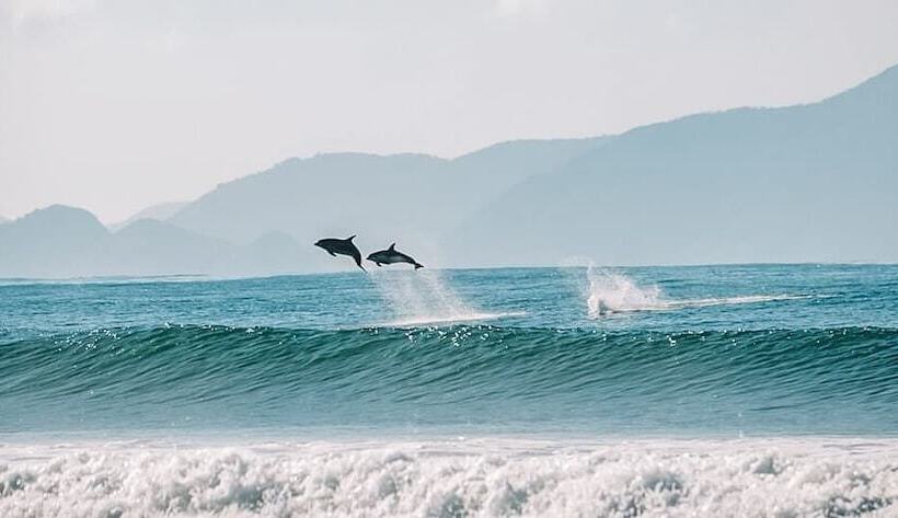 ペンション Aotearoa Surf Eco Pods