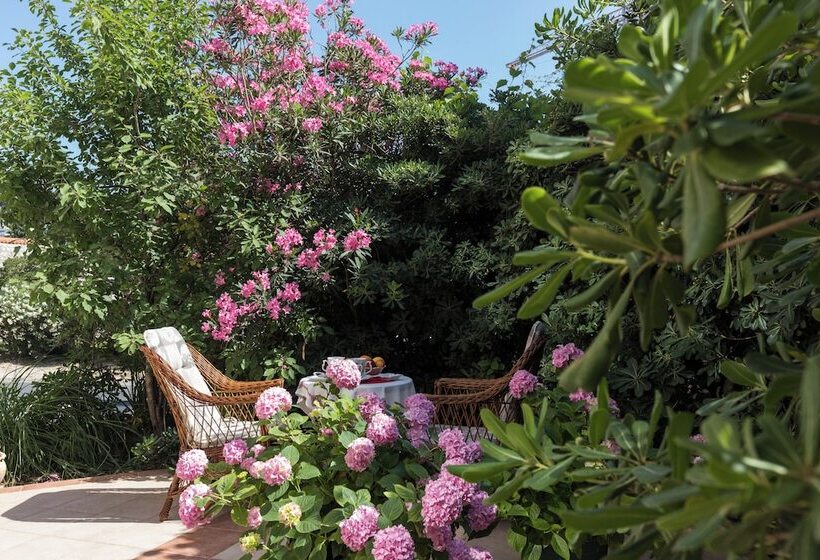 פנסיון Room Primi