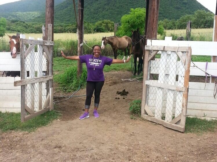 پانسیون Brimstone View Guest Apartments