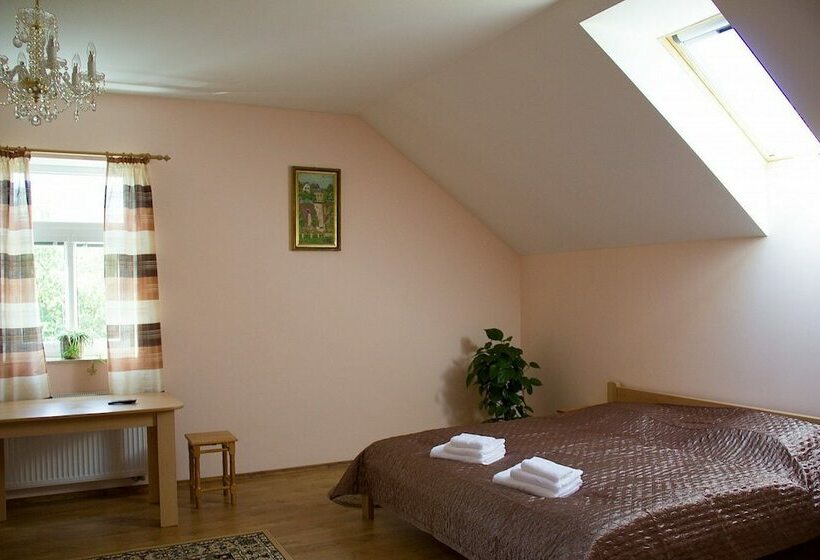 膳宿费 Euro Beer Spa