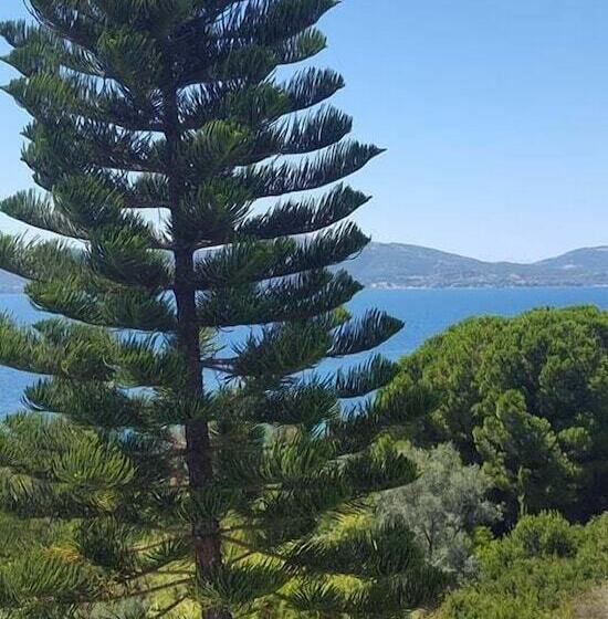 بنسيون Kosta Maria