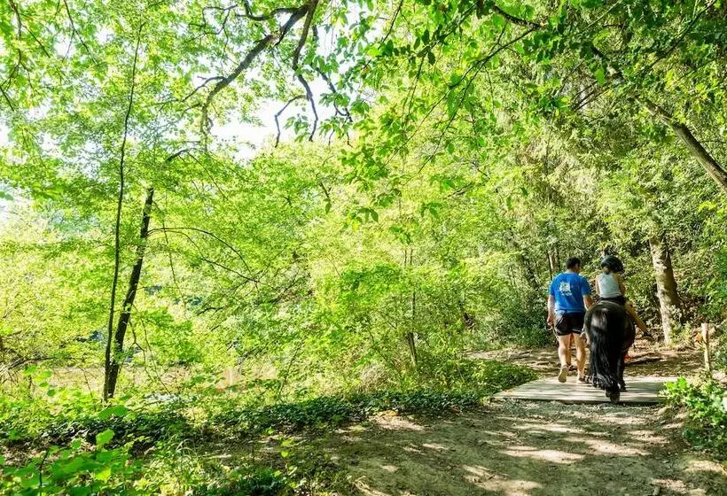 Majatalo Les Ecolodges De L Orbière