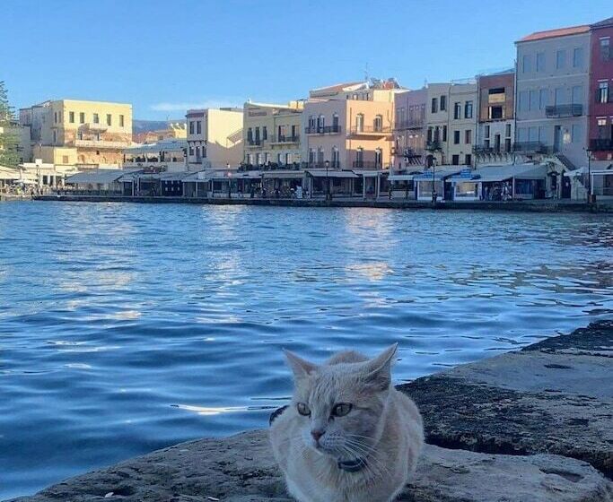 פנסיון Porto Chania