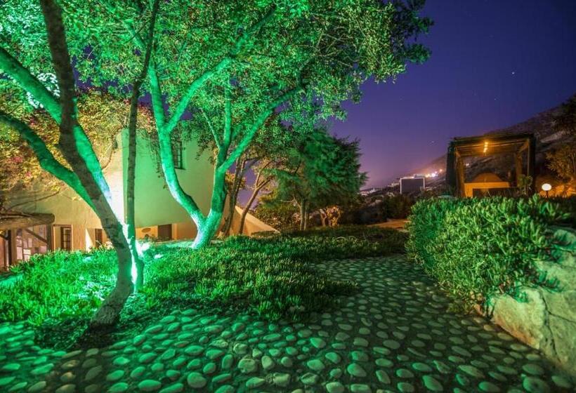 Pension One Private Studio Full View