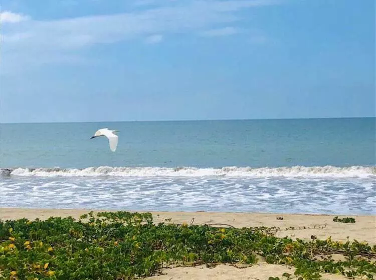 Aamiaismajoitus (B&B) Hospedaje 1249