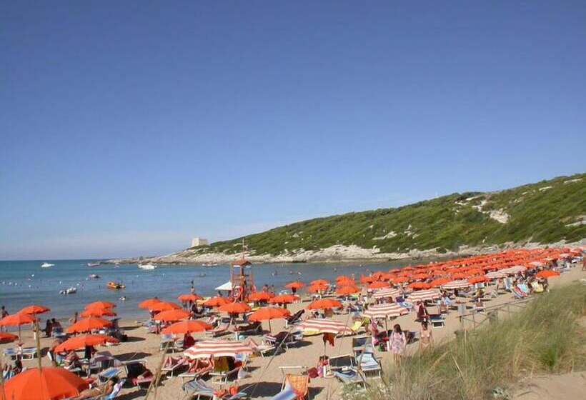 ベッドアンドブレックファースト Villa D Amato