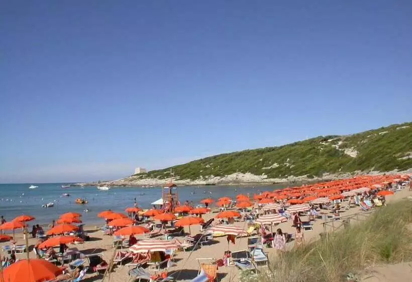 Aamiaismajoitus (B&B) Villa D Amato