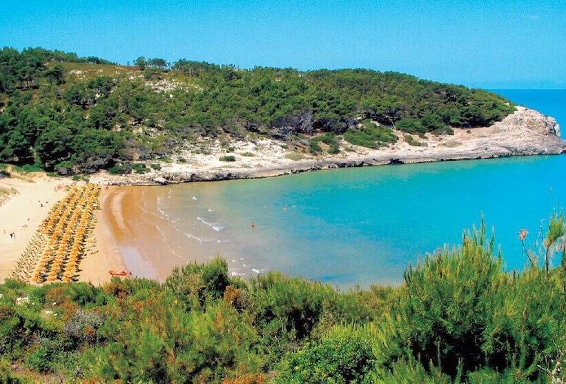 ベッドアンドブレックファースト Villa D Amato