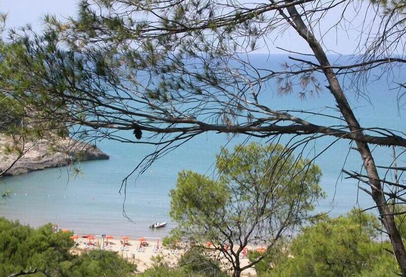 ベッドアンドブレックファースト Villa D Amato