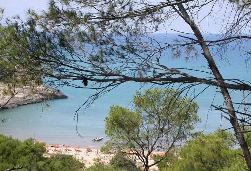 Aamiaismajoitus (B&B) Villa D Amato