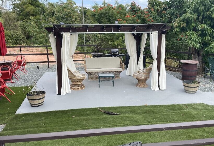 Casa Campo Bed And Breakfast