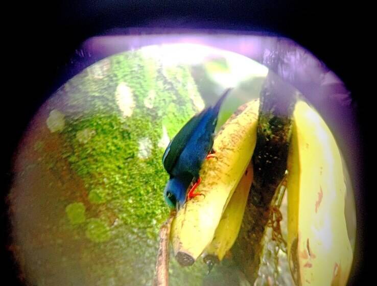 호텔 Arenal Rustic Lodge