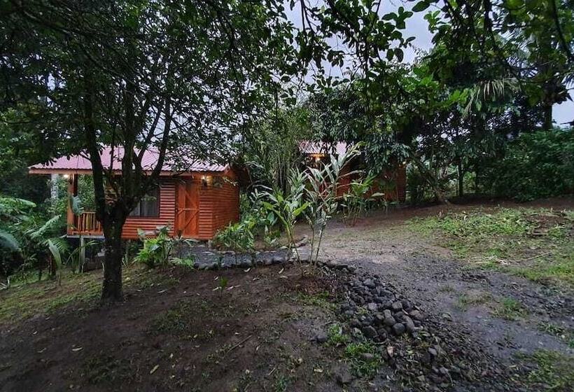 호텔 Arenal Rustic Lodge