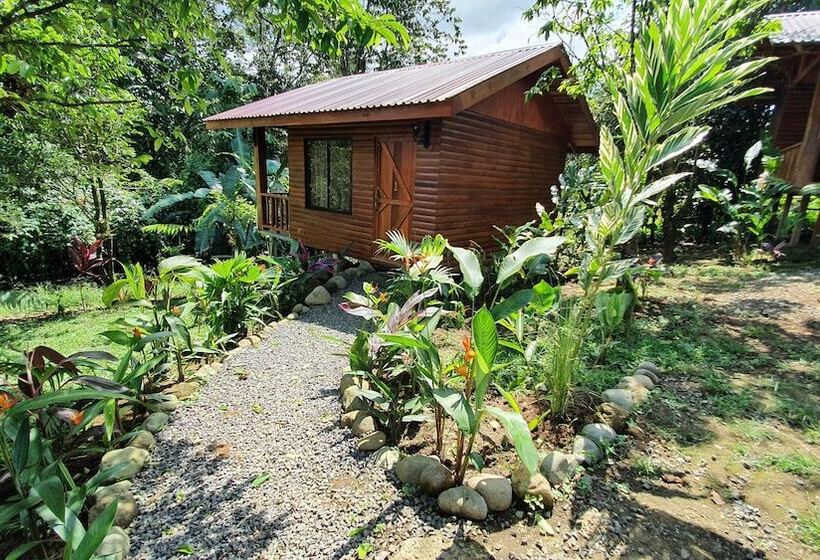 호텔 Arenal Rustic Lodge