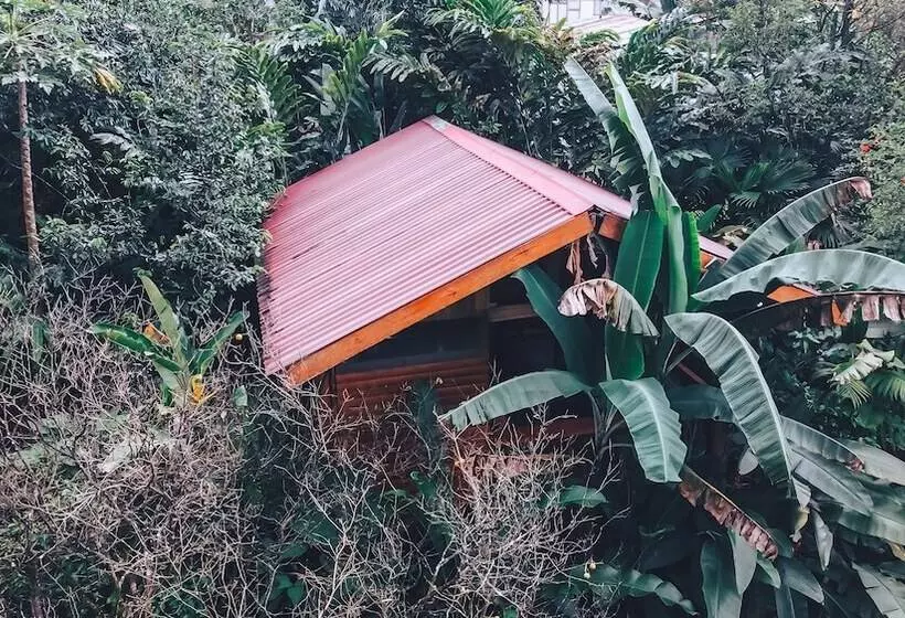 Hotelli Arenal Rustic Lodge