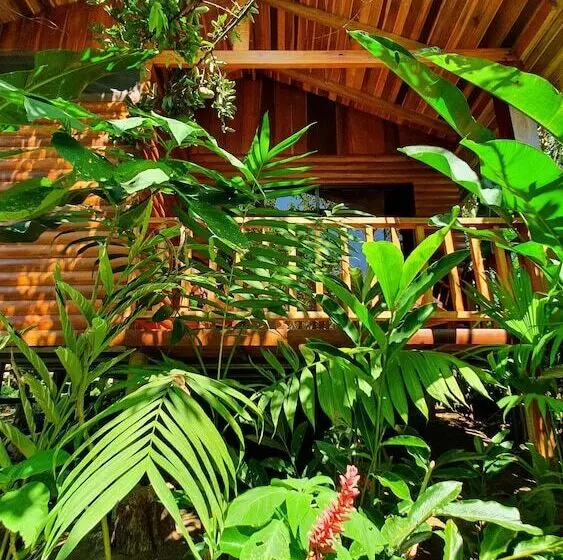 Hotelli Arenal Rustic Lodge