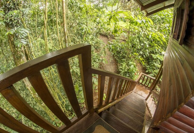 호텔 Arenal Rustic Lodge