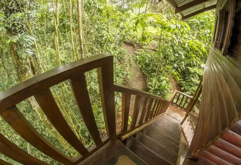 Hotelli Arenal Rustic Lodge