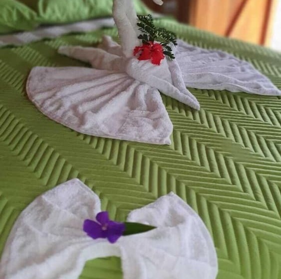 호텔 Arenal Rustic Lodge