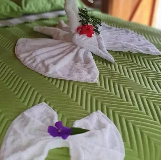 Hotelli Arenal Rustic Lodge