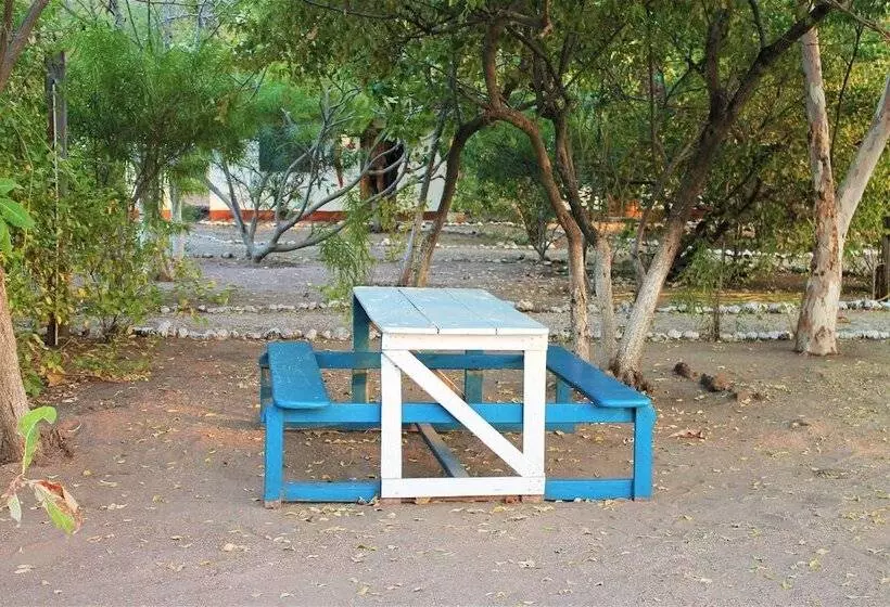 هتل Jerreh Camp Lodge