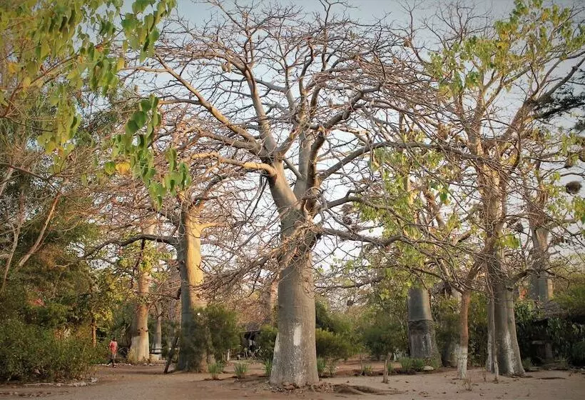 هتل Jerreh Camp Lodge