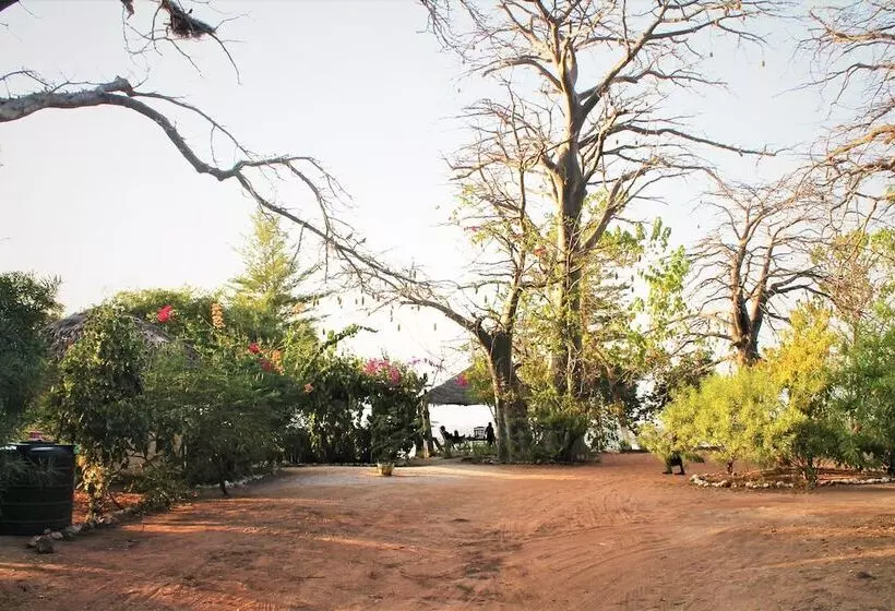 هتل Jerreh Camp Lodge