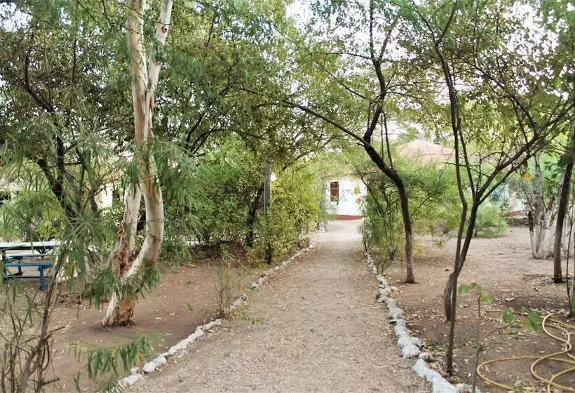 هتل Jerreh Camp Lodge