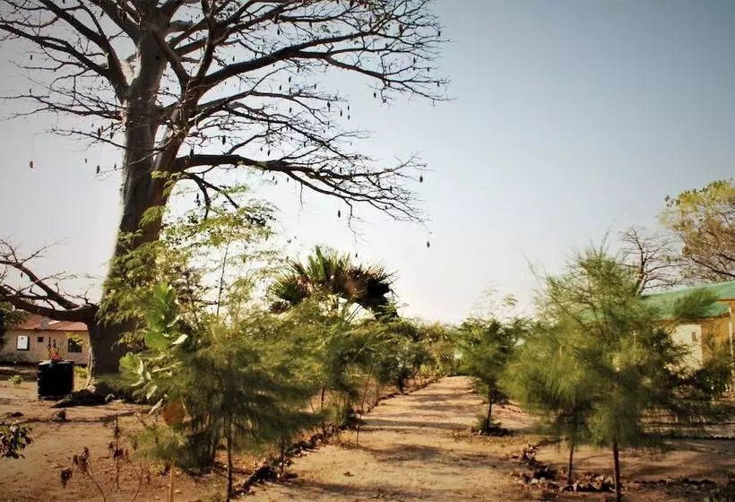 هتل Jerreh Camp Lodge