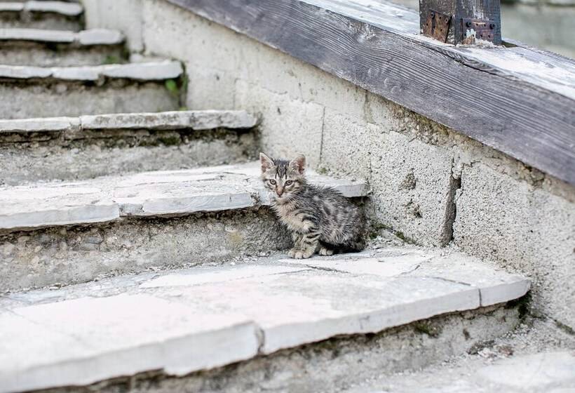 پانسیون Etno Selo Vojnik