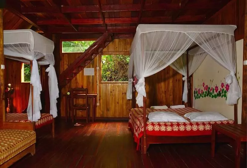 پانسیون Les Acacias Bungalows