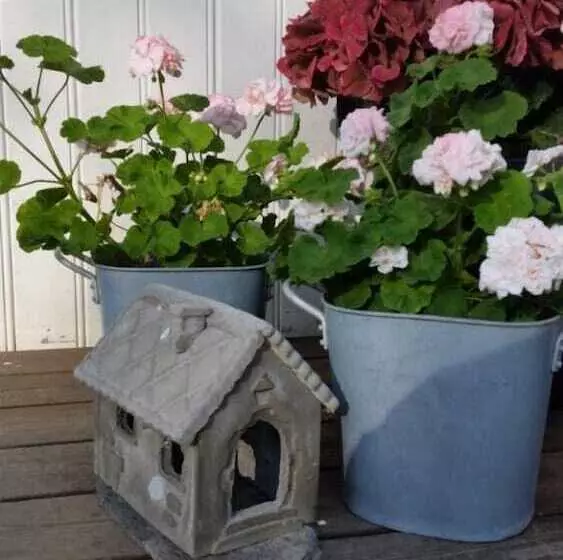 Majatalo Vevelstad Gjestegård