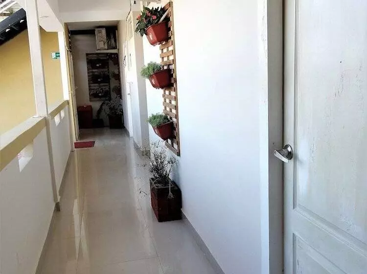 San Roque Hostal