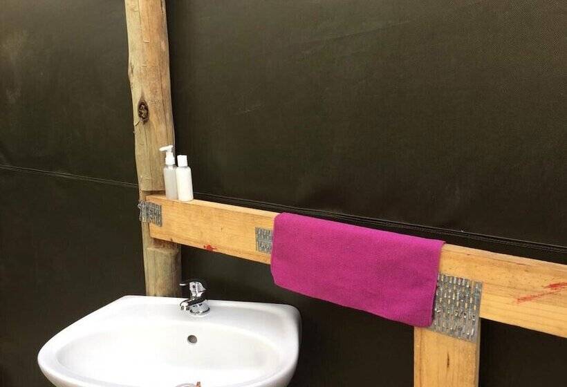 旅馆 Twyfelfontein Tented Camp