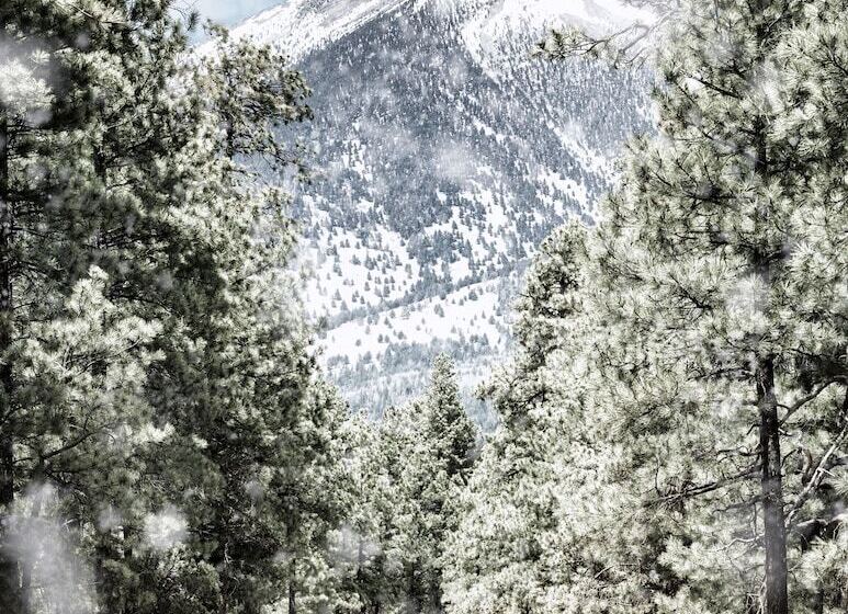 مبيت وإفطار Bespoke Inn Flagstaff