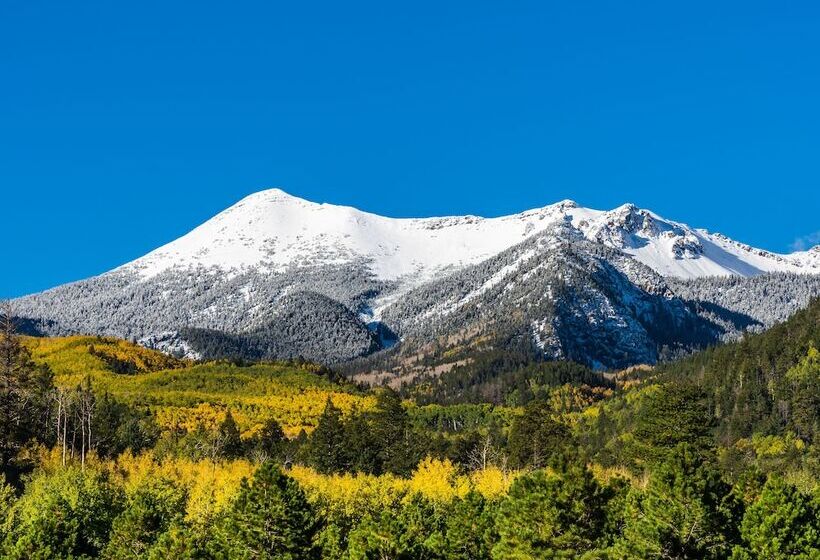 مبيت وإفطار Bespoke Inn Flagstaff