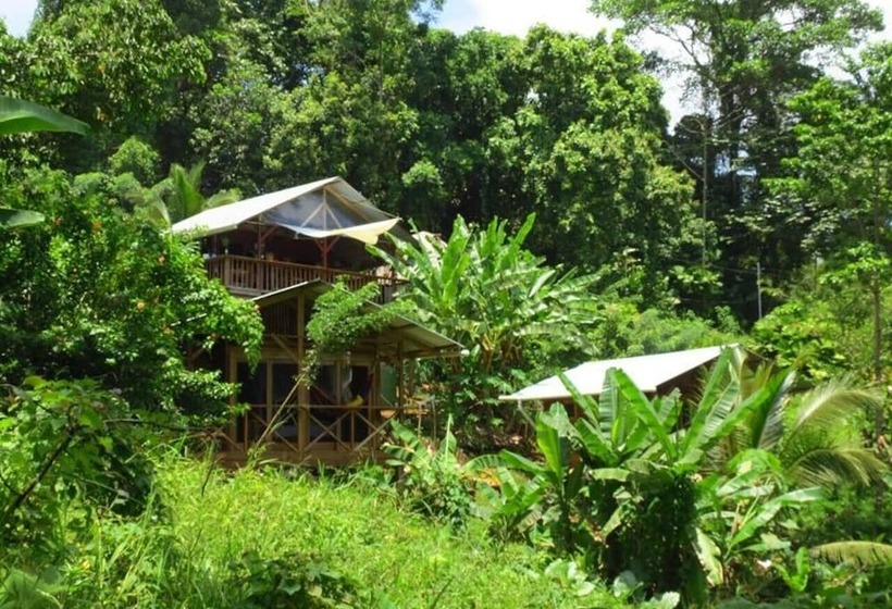 تختخواب و صبحانه Coco Hill